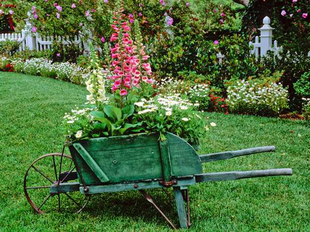 Fifteen Wonderful Landscaping and Gorgeous Centerpiece Ideas for Your Outdoor Places 13