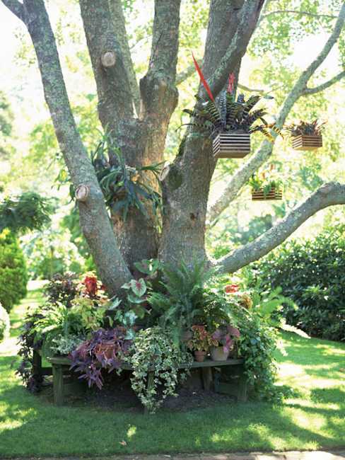 Fifteen Wonderful Landscaping and Gorgeous Centerpiece Ideas for Your Outdoor Place