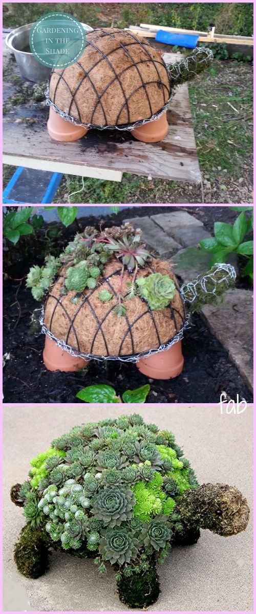 11.DIY Succulent Turtle