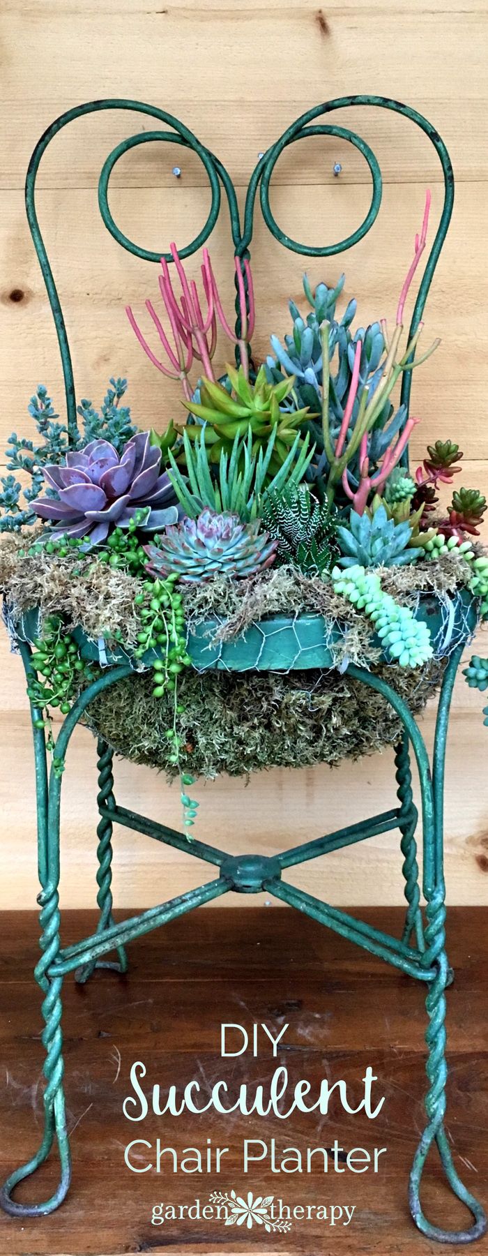 12.DIY Succulent Chair Planter