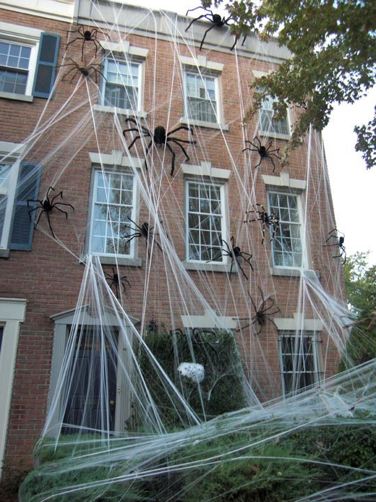12.Shuddersome Spider Webs