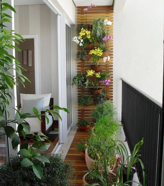 3. Vertical Gardening